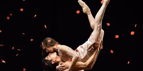 La boh\u00e8me Senior Citizen Dress Rehearsal