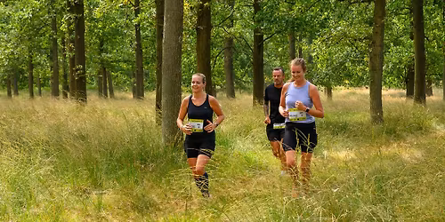 RUNFORESTRUN Hondsrug