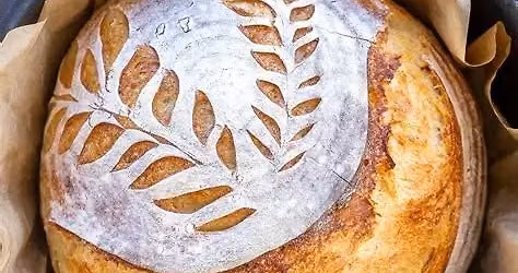 Proof & Pour: A Sourdough Workshop for Beginners