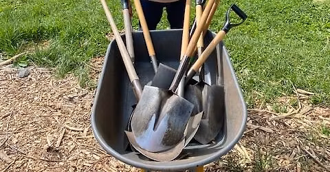 Volunteer Work Day