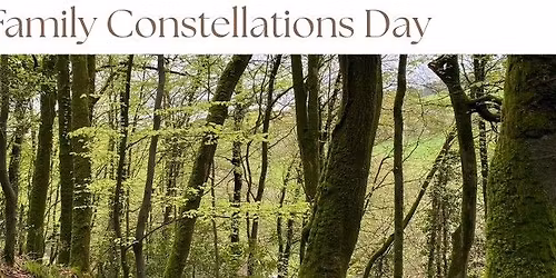 Family Constellations Day