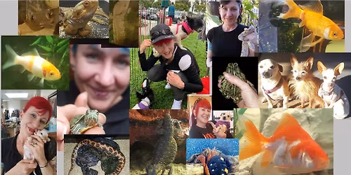 Meet - n - Greet \/ Adoption Event with Reptiles and Dogs! 12-3 PM