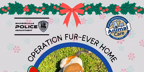 Operation Fur-Ever Home: Santa Paws Edition