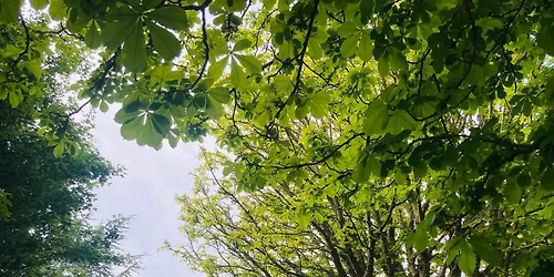 Feral Sing Saturday 18th April 11am \u00a35