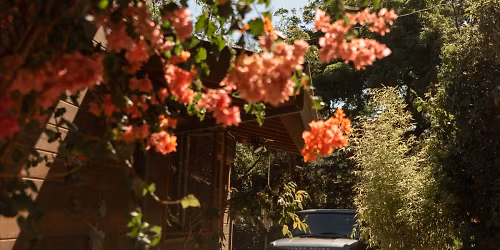 PawPaw Rod in Washington