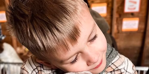 Kelley\u2019s Farmstead Baby Animal Barn