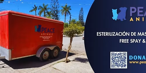 Dinner in White:  Sit, Stay, Celebrate!