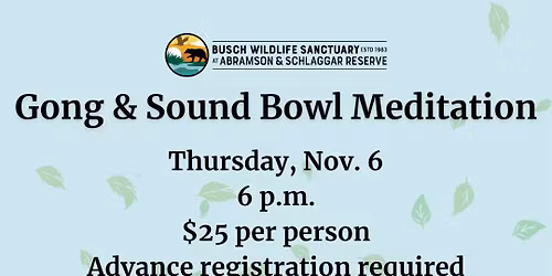 Gong & Sound Bowl Meditation