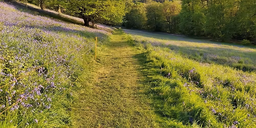 Malvern Hills Spring Walk - 5 miles