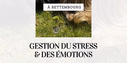 Gestion des \u00e9motions