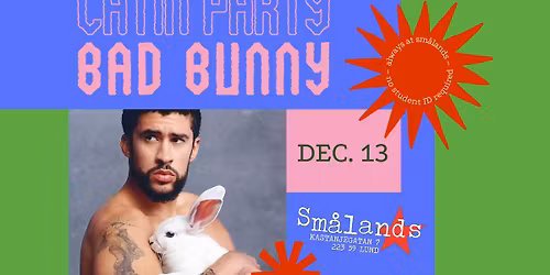 DTmF - Bad Bunny Party