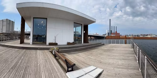 K\u00f8benhavn: Klangbad i Kirkeskibet med Anne Viese - d. 11. december