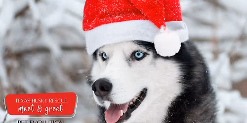 DFW December Meet & Greet - Pet Evolution in McKinney\/Frisco