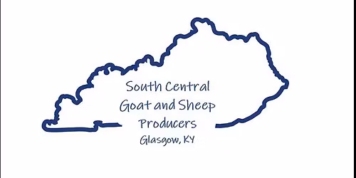 November Meeting - Ultrasounds