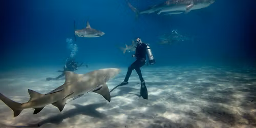 Nova Southeastern Sharks vs. Nicholls Colonels