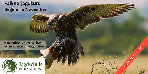 Falknerjagdkurs