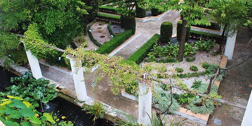 L\u2019 ORTO BOTANICO PI\u00d9 ANTICO D\u2019EUROPA: GIARDINO DELLA MINERVA A SALERNO