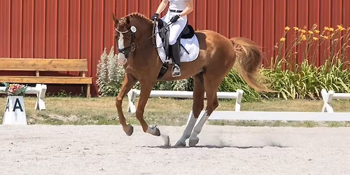 LAR\u2019s June Schooling Combined Training & Dressage Show