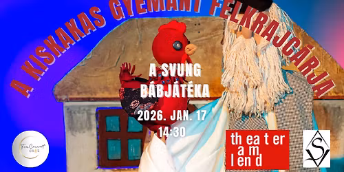 A kiskakas gy\u00e9m\u00e1nt f\u00e9lkrajc\u00e1rja