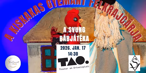 A kiskakas gy\u00e9m\u00e1nt f\u00e9lkrajc\u00e1rja