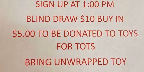 Toys for Tots dart tournament