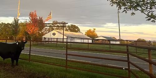 The 909 Ranch Fall Production Sale 2025