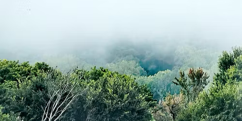 Season of Winona Artist Talk