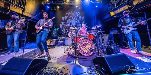 Live at Millpond Park - The Stone Blossoms