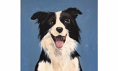 Paint Your Pet!