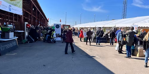 Gr\u00f8n dag i Albertslund