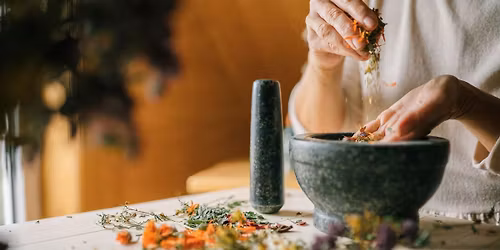 Formation Cueilleur-Herbaliste