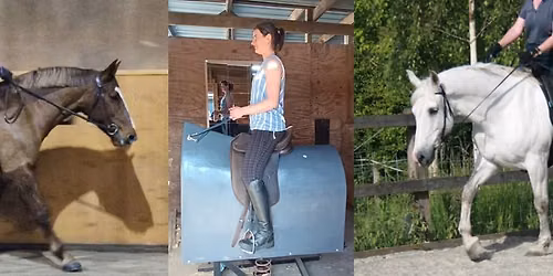 How to improve your horses training and contact issues