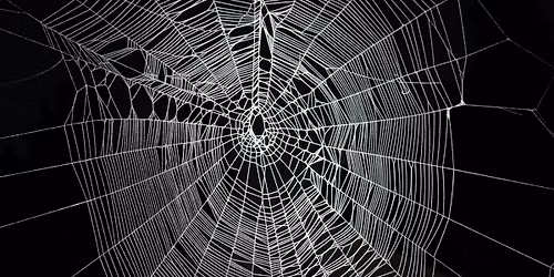 Merry Hexmas Photo Sessions