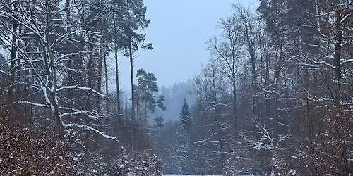 Kultura na \u015bwie\u017cym, wyprawy kobiece vol.41. Tr\u00f3jmiejski Szlak Pieszy