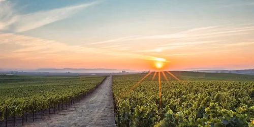 5 Course Wine Tasting Dinner featuring Rombauer Vineyards