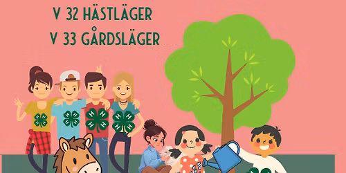 Sommarlovsl\u00e4ger p\u00e5 V\u00e4xj\u00f6 4H