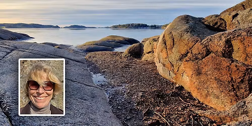 Foredrag: Hva gj\u00f8r vi for \u00e5 redde Oslofjorden?