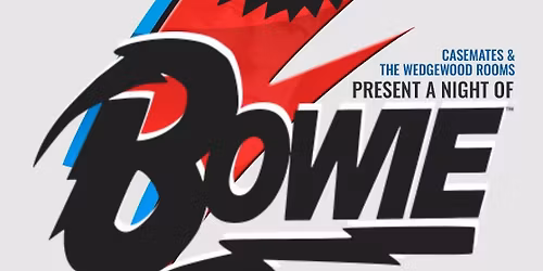 A Night Of Bowie - Wedgewood Rooms, Portsmouth - 10.01.26