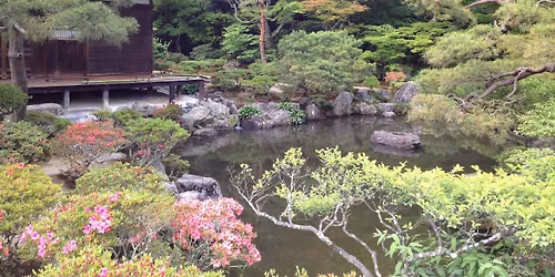 Introduction to Zen