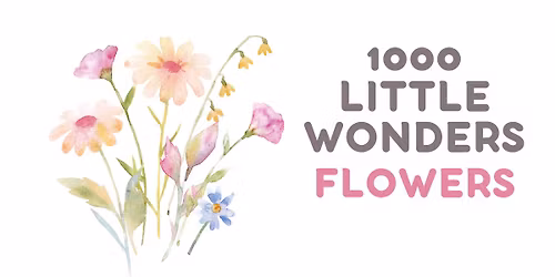 1000 Little Wonders: Flowers