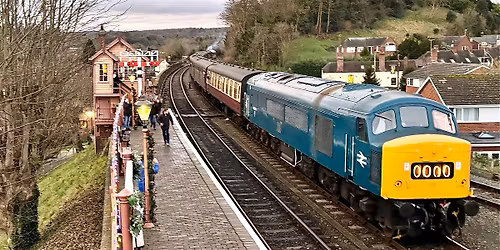 New Year's Eve Special