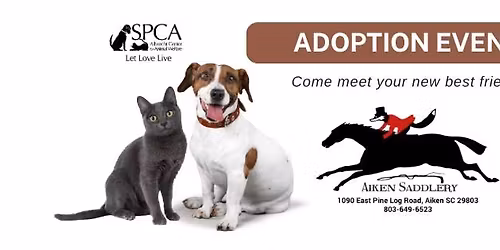 Adoptions at Aiken Saddlery