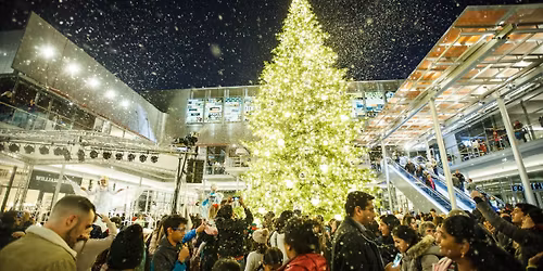 Holiday Tree Lighting Ceremony