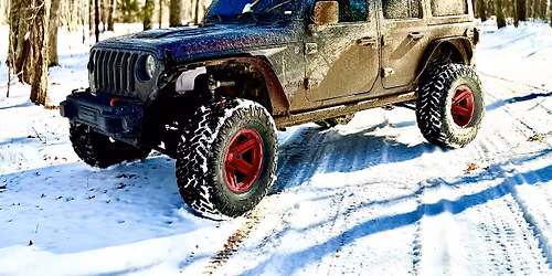 Friendsgiving Dinner