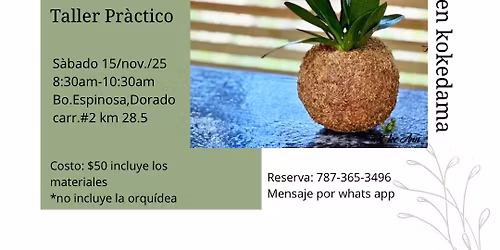 Orquideas en Kokedama