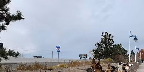 Group class Santa Paws