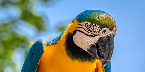 NKCC Exclusive Photo Walk at the National Aviary