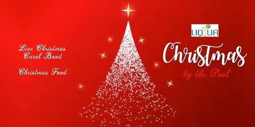 Christmas by the Pool