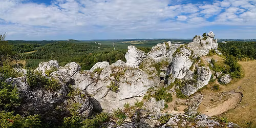 Kostkowice \u2013 G\u00f3ra Zbor\u00f3w \u2013 Jaskinia G\u0142\u0119boka \u2013 zamek B\u0105kowiec \u2013 Skar\u017cyce