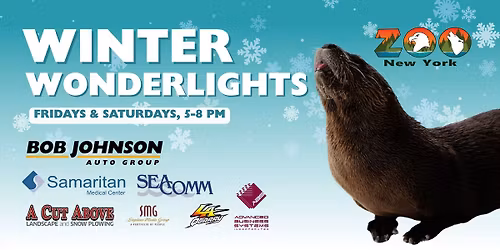 Winter Wonderlights, Presented by Bob Johnson Auto Group